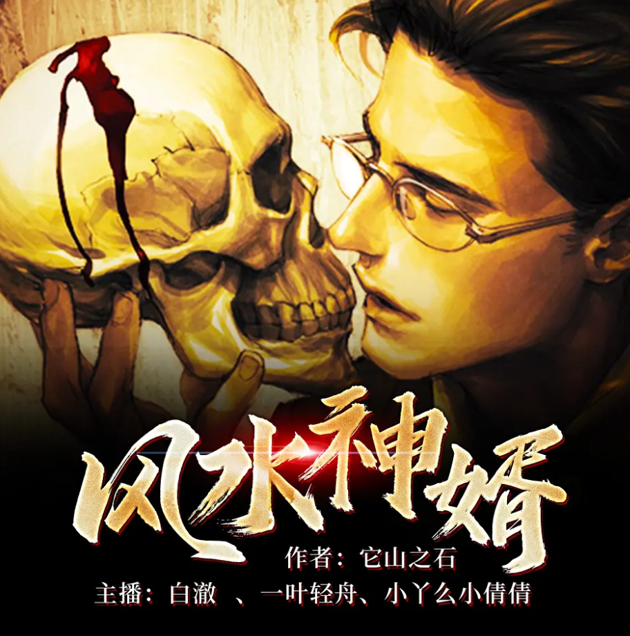 《风水神婿》有声小说 播讲_十耳听书【完结】百度云网盘下载-布布游戏网