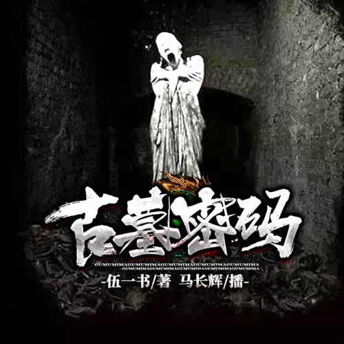 《古墓密码》有声小说 播讲_马长辉【完结】百度云网盘下载-布布游戏网
