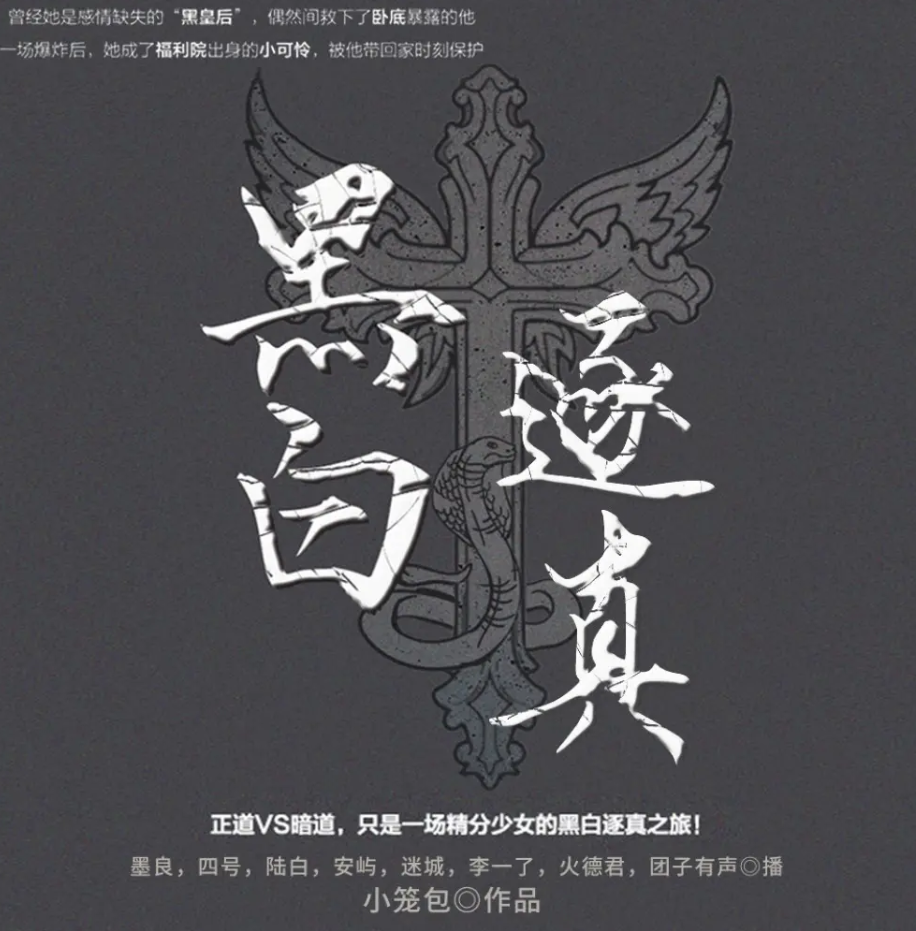 《黑白逐真》有声小说 播讲_十耳听书【完结】百度云网盘下载-布布游戏网