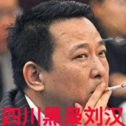 《四川黑枭刘汉》有声小说-演播:准备选村长【完结】百度云网盘下载-布布游戏网