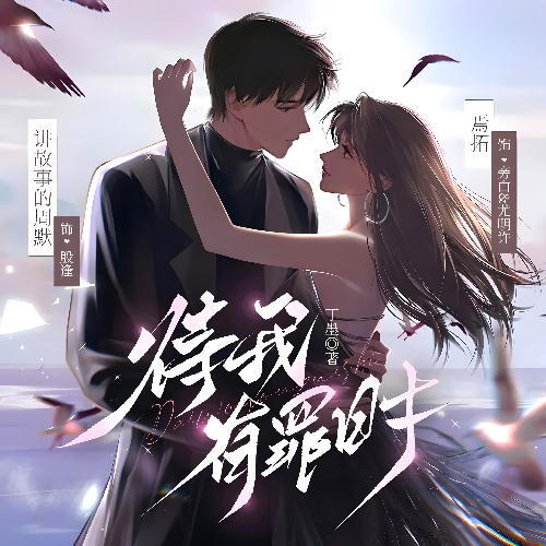 《待我有罪时》有声小说 播讲_讲故事的周默【完结】百度云网盘下载-布布游戏网