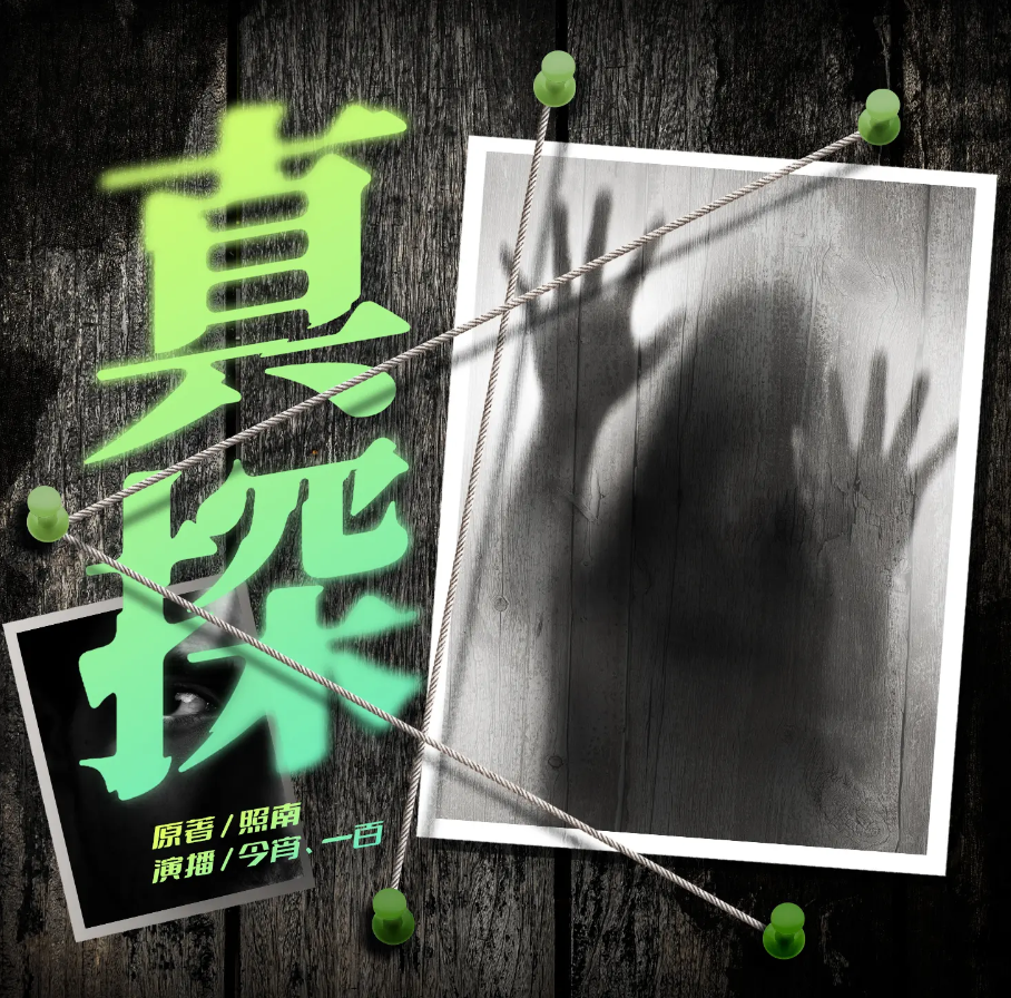 《真探》有声小说 播讲_掷地有声【完结】百度云网盘下载-布布游戏网