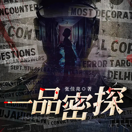 一品密探有声小说全集405集白小年播音[MP3/M4a]下载-布布游戏网