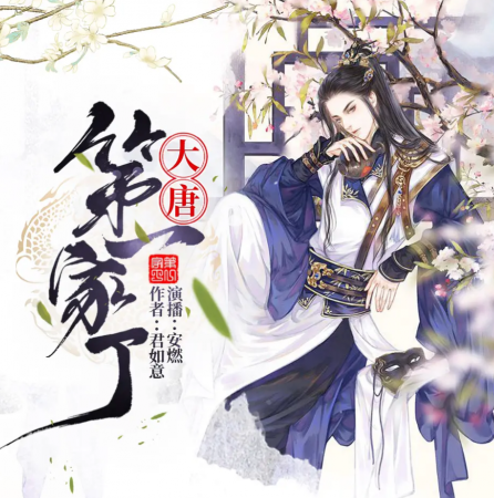 《大唐第一家丁》有声小说 播讲_安燃【完结】百度云网盘下载-布布游戏网