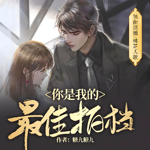 《你是我的最佳拍档》有声小说 播讲_桃芷夭歌【完结】百度云网盘下载-布布游戏网